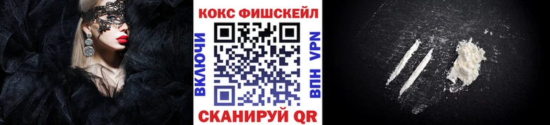 COCAIN Fish Scale  закладки  Буйнакск 