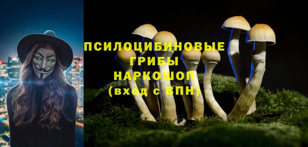дурь Беломорск