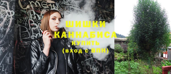 кокс Белокуриха